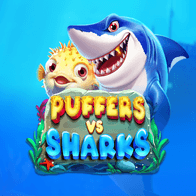 Puffers Vs Sharks